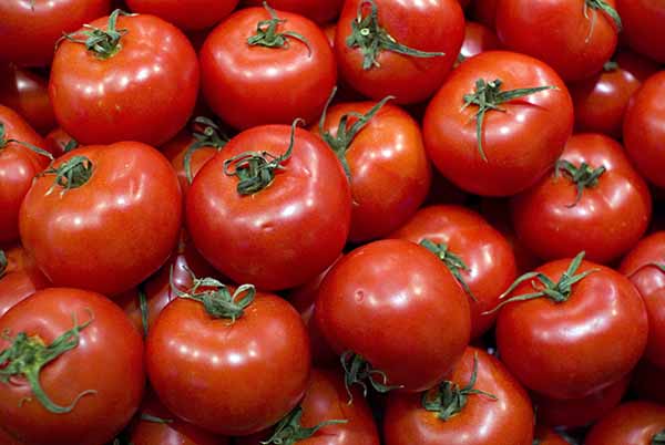 varizes-tomates